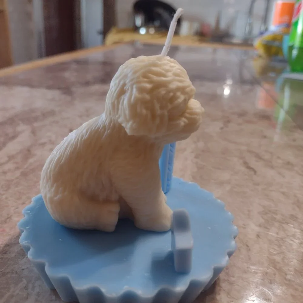 Happy Birthday to my Doggy Candle